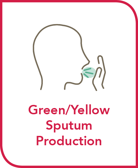 Green/Yellow sputum production