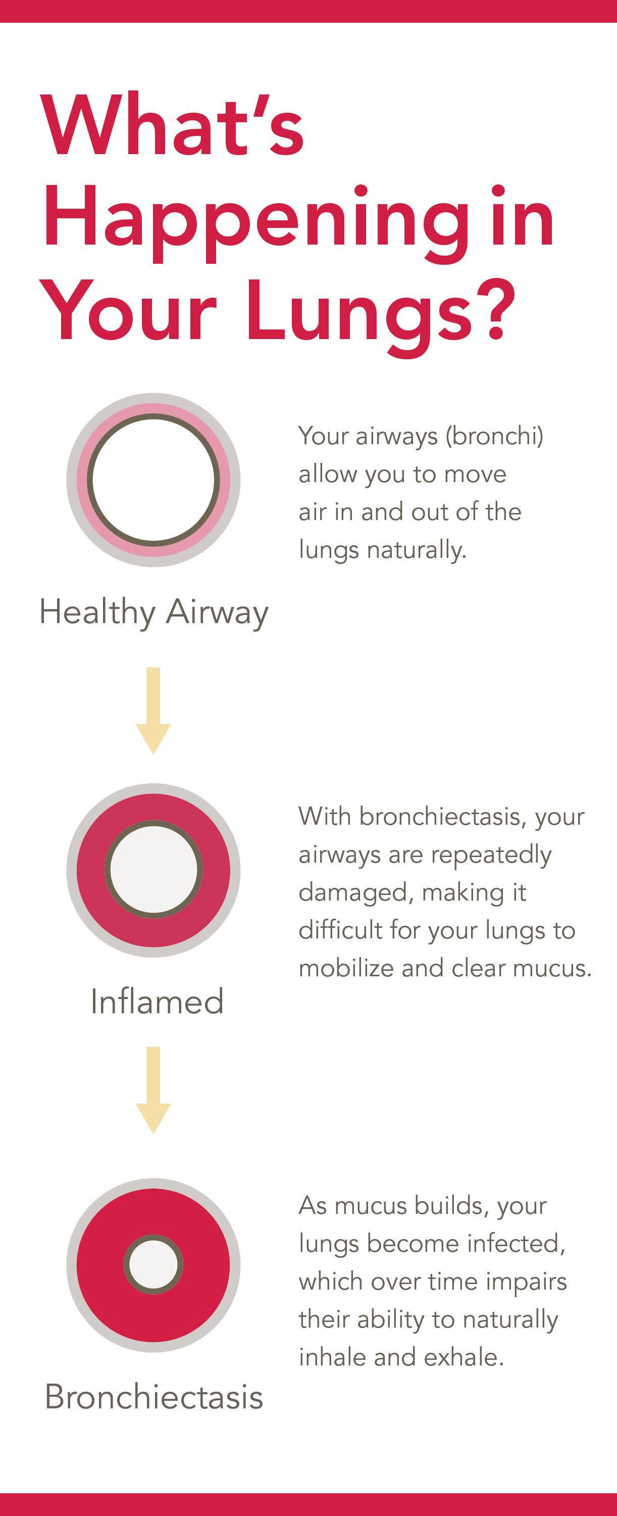 What's happening in your lungs?