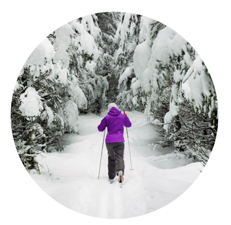 A skiier in a purple coat exploring the woods during winter