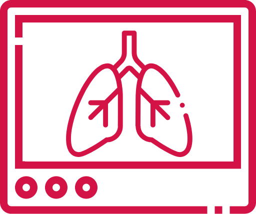 Graphic icon of a pair of lungs on a computer screen.