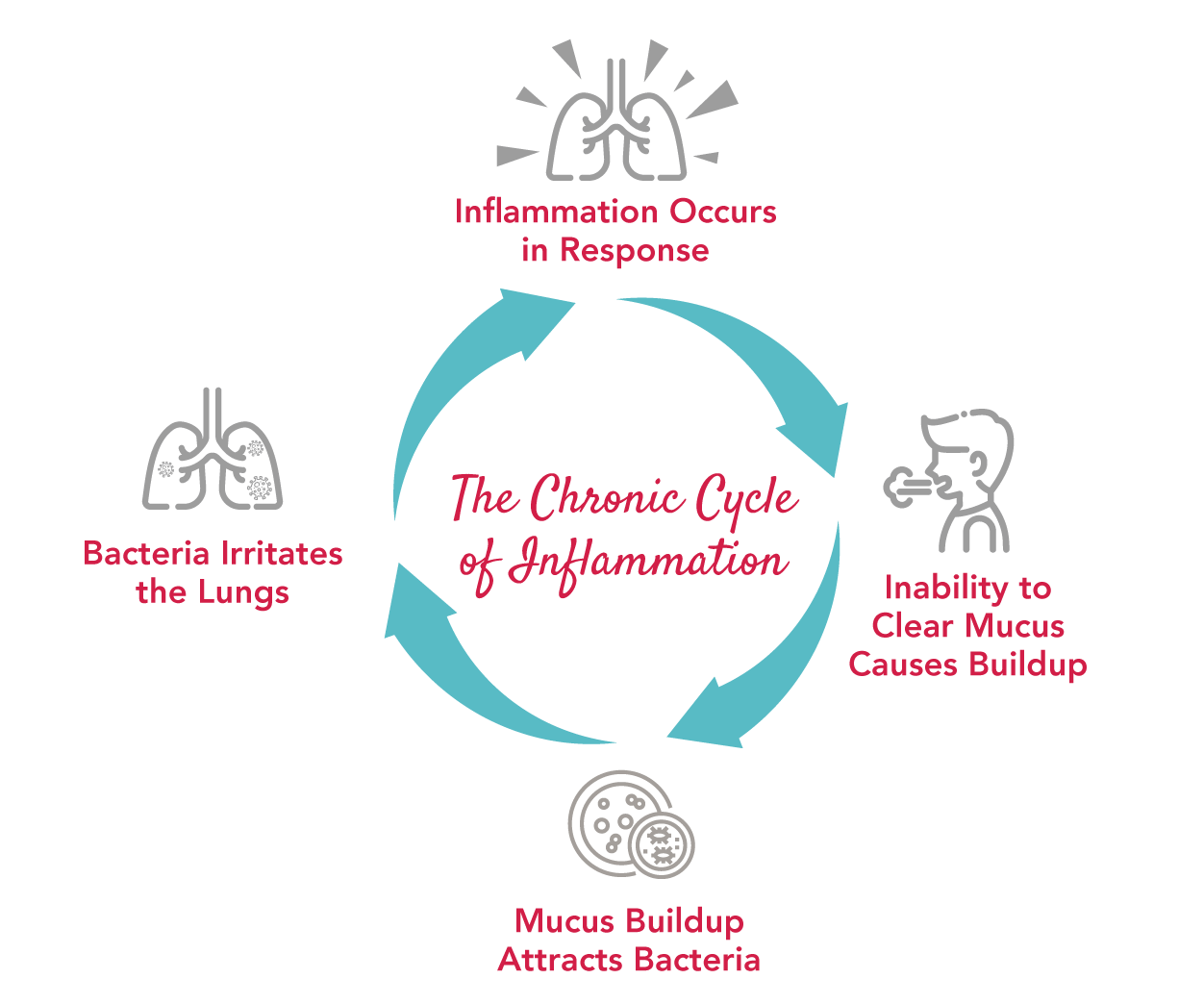 Graphic image to display the cycle of inflammation .
