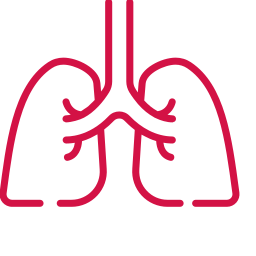 Graphic icon of lungs