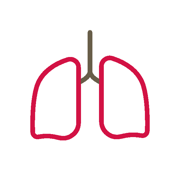 Breathing lungs icon