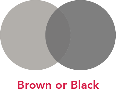 Brown and black color comparison.