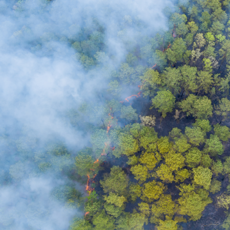 Aerial shot of wildfire smoke.