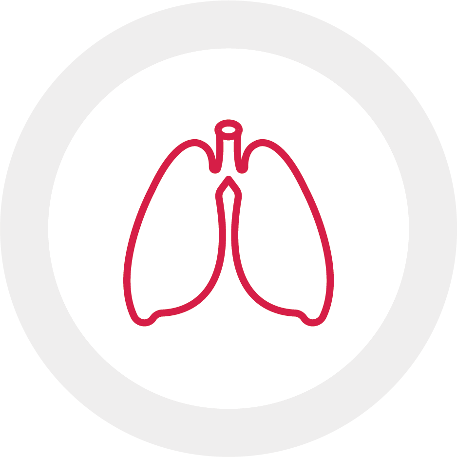 Graphic icon of lungs
